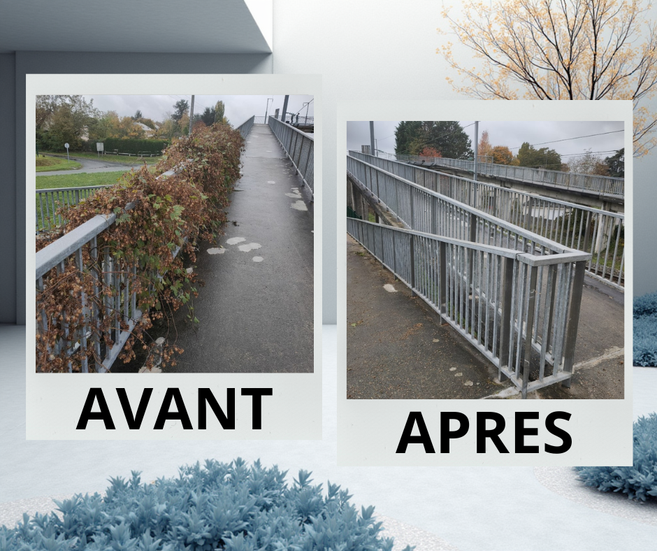 AVANT APRES