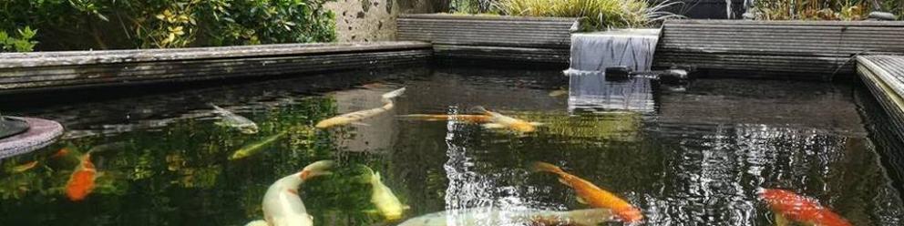 Balade apéro autour des étangs de la Ferme Aquacole d'Anjou