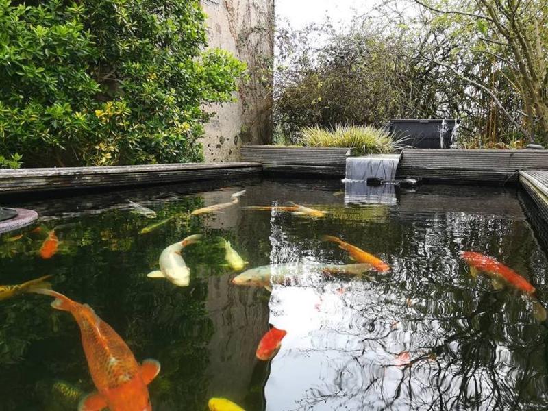 Balade apéro autour des étangs de la Ferme Aquacole d'Anjou